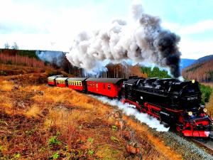 un tren de vapor está viajando por las vías en Apart Hotel Wernigerode en Wernigerode