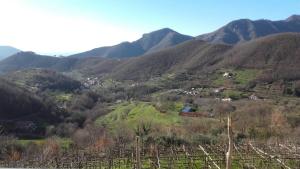 a view of a vineyard in a mountain valley at La Casa in Vigna in Tramonti