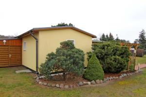 a small house with trees in front of a yard at Ferienhaeuser Zinnowitz USE 3420 in Zinnowitz