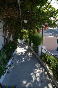 a walkway in a garden with plants and trees at Maridea - Camere con vista al Porto in Ponza