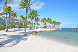 
a beach with palm trees and palm trees at Tranquility Bay Resort in Marathon
