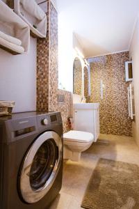 a bathroom with a washing machine and a toilet at Apartament Maria in Alba Iulia