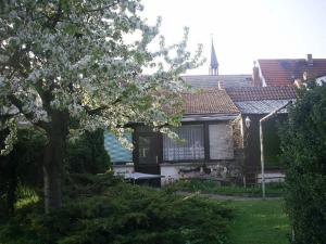Zahrada ubytování Ferienhaus Krähmer