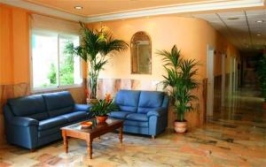 a living room with blue couches and potted plants at Hotel Betania in Benalmádena