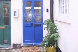a blue door with a plant in front of a house at Kikas Cottage, Rear 89 Church Street, White Horse Yard in Whitby