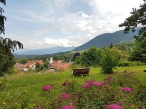 a bench sitting in a field of grass with flowers at Landhaus Schönblick in Bad Kohlgrub