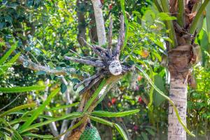 Ein Garten an der Unterkunft Swasti Eco Cottages