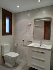 un bagno con un water, un lavandino e uno specchio di Apartamento Sallan Ainsa Ordesa Zona Zero ad Aínsa