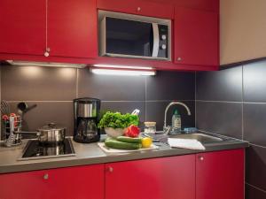 Aparthotel Adagio Toulouse Centre Ramblas的厨房或小厨房
