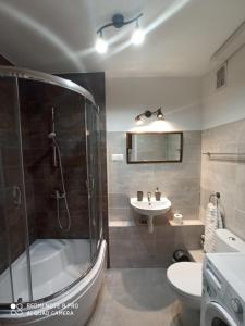 a bathroom with a shower and a toilet and a sink at Apartament Pod sanockim zamkiem in Sanok