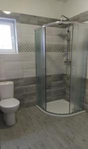 a bathroom with a toilet and a glass shower at Penzion u Vodníka in Třeboň