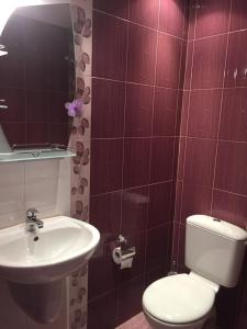 La salle de bains est pourvue de toilettes et d'un lavabo. dans l'établissement Къща за гости Спасителна, à Brezhani