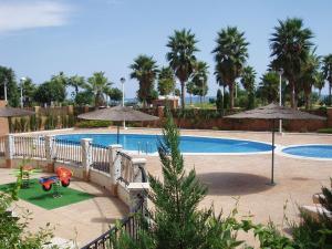basen z drzewami i parasolami w obiekcie Bonito apartamento en Marina D'or [1ra línea de playa] w mieście Oropesa del Mar