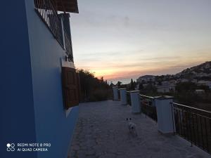 a cat walking down a walkway with a building at Blue Villa in Kalymnos