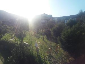 Przyroda w pobliżu tego apartamentu