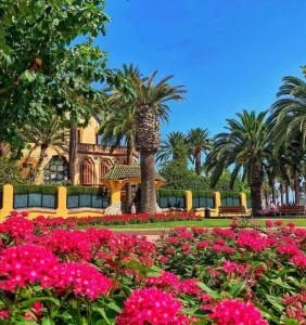 un parque con flores rosas y palmeras en Apartamento Salou lux por precio económico., en Salou 31 fotos más