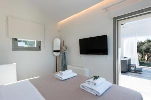 Televízia a/alebo spoločenská miestnosť v ubytovaní Villa Costele with Private Sandy Beach