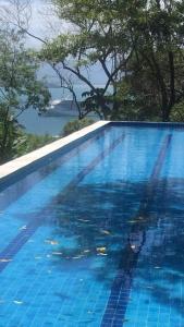 a blue swimming pool with trees in the background at Siriúba Reserve in Ilhabela