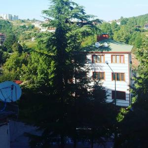 Nespecifikovaný výhled na hory nebo výhled na hory při pohledu z bed and breakfast