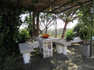 una mesa de picnic con un bol de fruta. en My House - Casa Charme, en Monchique