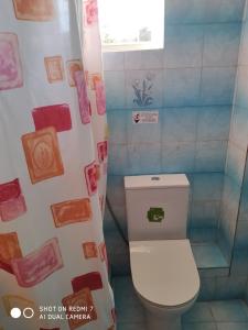 a bathroom with a toilet and a shower curtain at Crystal in Kavos