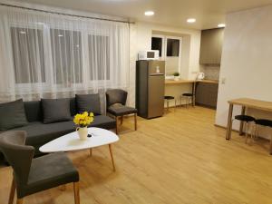 a living room with a couch and a table and a kitchen at Central Apartments Nojus in Druskininkai