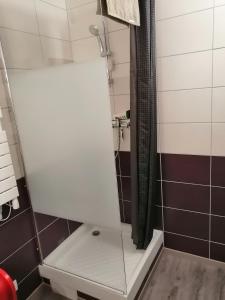 La salle de bains est pourvue d'une douche avec une porte en verre. dans l'établissement GRAU DU ROI T2 calme, accès plage + parking, au Grau-du-Roi