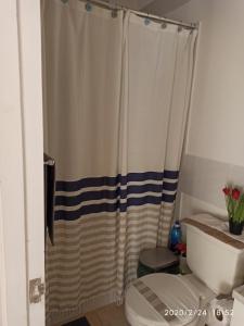 La salle de bains est pourvue d'un rideau de douche et de toilettes. dans l'établissement Condominio don Alfonso, à Talca