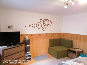 a living room with a couch and a tv at Csillag Vendégház in Répáshuta