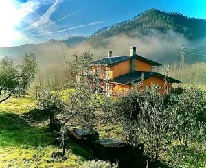 uma casa no meio de um campo com uma montanha em Agriturismo Terre di Ginepro em Borghetto di Vara