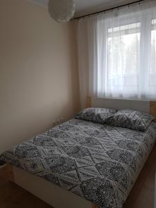 Un dormitorio con una cama con edredón y una ventana. en Apartament Wiosenna, en Białystok