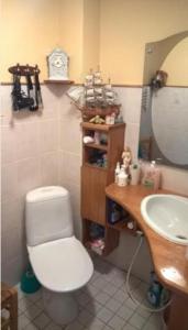 a bathroom with a toilet and a sink and a mirror at Kouvola Guest house in Kouvola +3 photos