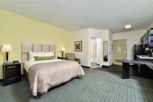 莫纳汉斯Candlewood Suites Monahans by IHG的一间卧室，配有一张床、一张书桌和一台电视