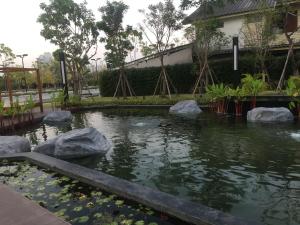 un estanque con rocas frente a un edificio en Supalai Rama9 Monthly, en Bangkok