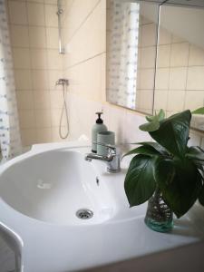 a bathroom sink with a soap dispenser and a plant at HOKE lakás in Sopron