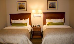 מיטה או מיטות בחדר ב-Candlewood Suites Jacksonville, an IHG Hotel