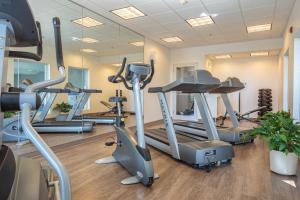 un gimnasio con cintas de correr y máquinas elípticas en Holiday Inn Express & Suites - Belleville, an IHG Hotel, en Belleville