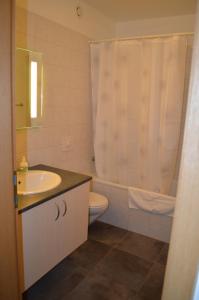 a bathroom with a sink and a toilet and a shower curtain at Borg Apartments in Hvolsvöllur
