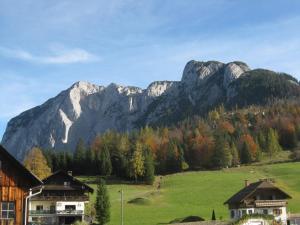 a mountain in the distance with houses and trees at Schusterhäusl in Wörschach