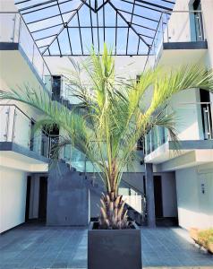 een palmboom voor een gebouw bij Malibu Village in Canet-en-Roussillon