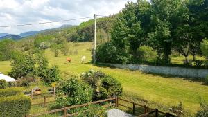 Priroda u blizini apartmana
