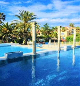 una gran piscina con palmeras en el fondo en Malibu Village, en Canet-en-Roussillon