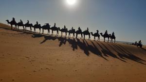 a group of people riding camels on the sand at Merzouga Camp Night in Merzouga