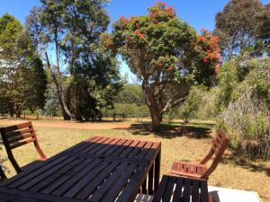 ParryvilleTuricum AT Monkey Rock Winery & Cider的相册照片