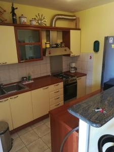 Kuchyňa alebo kuchynka v ubytovaní Apartman Stanić