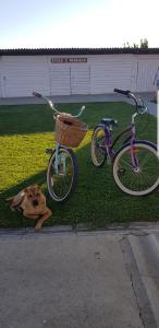 a dog laying in the grass next to a bike at Apartments Ivica i Marica in Karanac