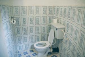 La salle de bains est pourvue de toilettes avec du papier peint bleu et blanc. dans l'établissement Tamba Kuruba Eco-lodge, à Folonko