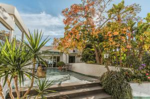 a house with a courtyard with trees and plants at Hotel San Giorgio Terme in Ischia