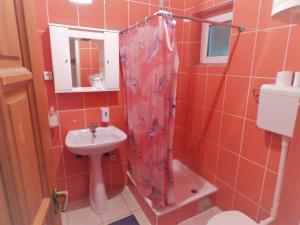 ein Badezimmer mit Waschbecken und Duschvorhang in der Unterkunft Vila Palma Palic in Palić