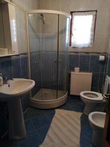 a bathroom with a shower and a sink and a toilet at Casa Gotika in Vama